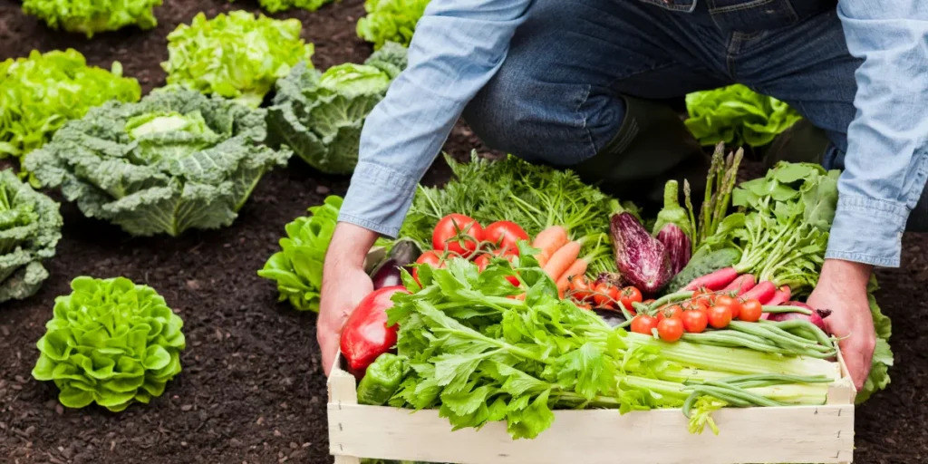 Is Organic Food Really Better for You?